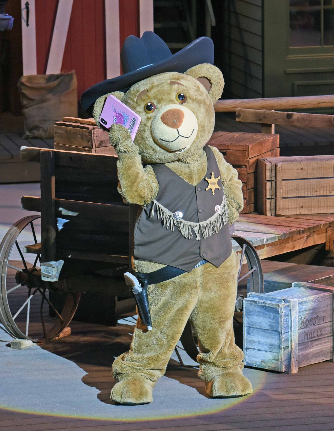 Sheriff Bear